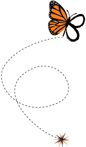 https://1962491215.rsc.cdn77.org/wp-content/uploads/2024/12/Social-Butterfly-timeline-th.png