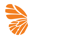 https://1962491215.rsc.cdn77.org/wp-content/uploads/2025/07/Social-Butterfly-Logo_wh-orange.png